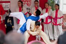 Tai-Shi, Wu-Shu, Kung-Fu